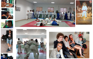 58ebbcdfcd383_synthesepage1judodo.png