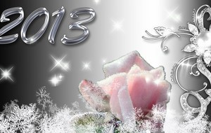 Meilleurs voeux pour 2013 !