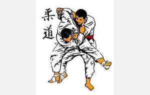 stage de judo à la TOUSSAINT 2014