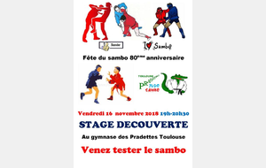 Initiation de Sambo aux Toulouse Pradettes Judo Sambo
