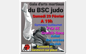 Gala du BSC Judo - Diaporama et remerciements -