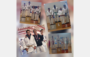 Grand Prix ceinture de couleurs Cadets et Seniors à Lavelanet