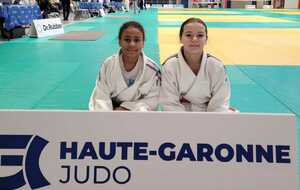 Coupe départementale benjamins n° 2