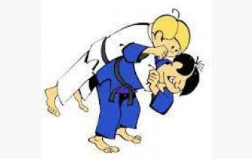 stage de judo pendant les vacances de  TOUSSAINT  de mini-poussins  à cadets
