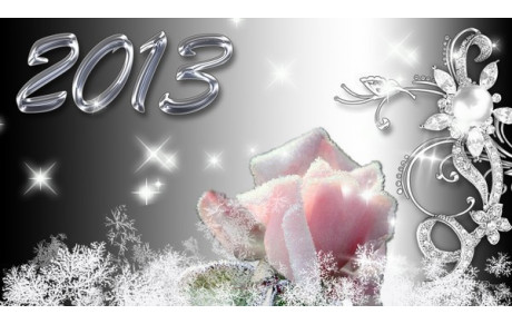 Meilleurs voeux pour 2013 !