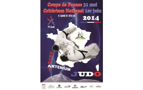 Le BSC judo a un niveau national pour la 2° fois de l' année