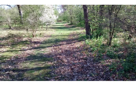 Sorties de fin d'année