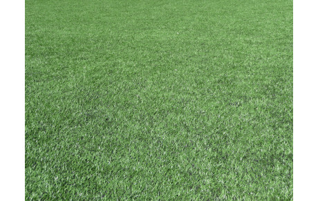 Tout Blagnac a couru