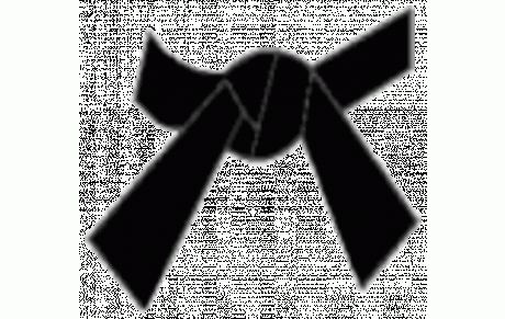 OUKHEMAMOU Rabah et BERGUIO Jérémy ceinture noire !!!!!