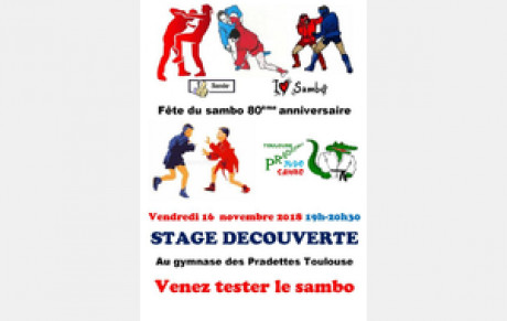 Initiation de Sambo aux Toulouse Pradettes Judo Sambo