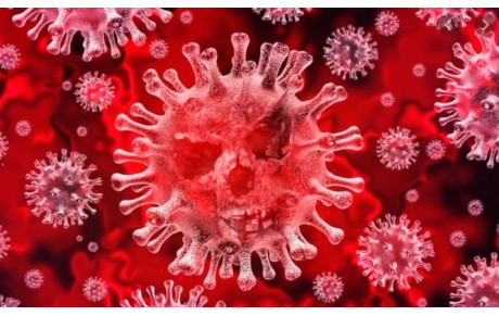 Covid-19 - Cours annulés