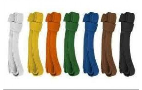 Réviser le judo : histoire et technique !